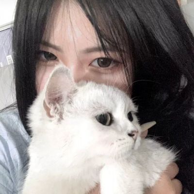 次元战争破解版下载