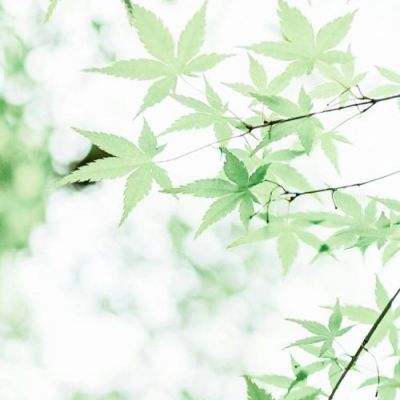 王者特戒手游下载