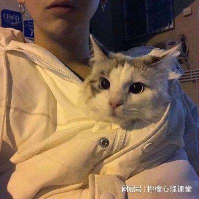 唐门手游官方下载